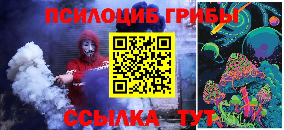 Псилоцибиновые грибы Psilocybe Дедовск